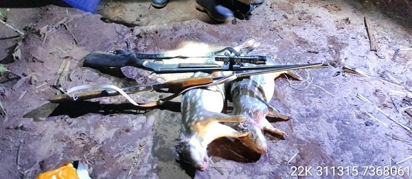 Policial e colega que caçavam e furtavam animais exóticos têm penas confirmadas